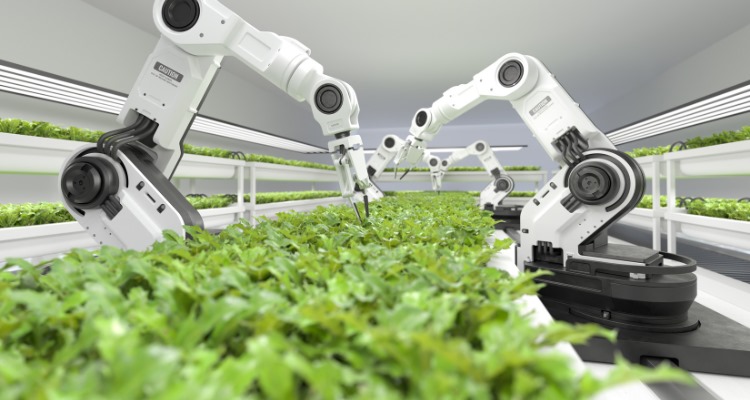 The Role of Industrial Automation in Revolutionizing  Water Treatment Plants